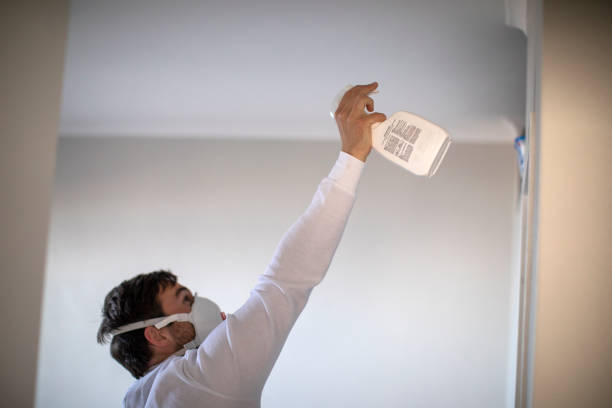 Best Affordable Mold Removal  in Shenandoah Farms, VA