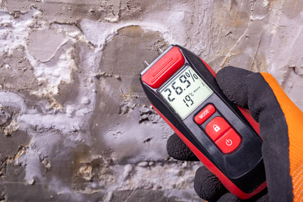  Shenandoah Farms, VA Mold Removal Pros