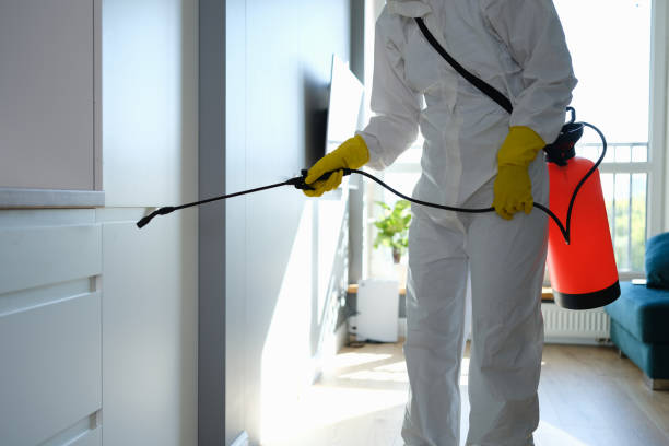 Best Office Mold Removal Services  in Shenandoah Farms, VA