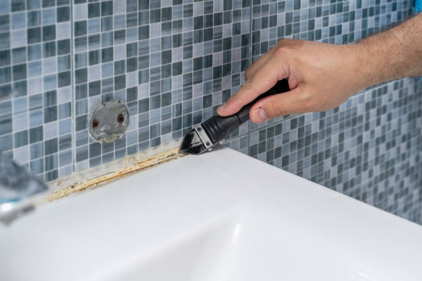 Professional Mold Removal in Shenandoah Farms, VA
